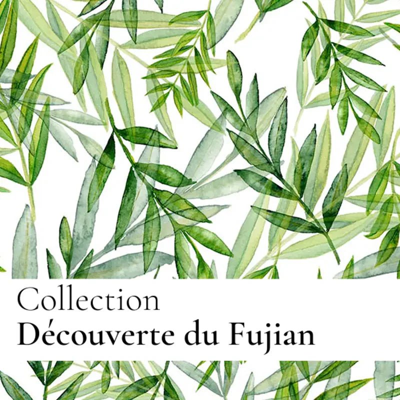 Brume de parfum du Fujian - Origine Cosmétiques Belgique Luxembourg