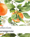 Visuel de la Collection "L'Orangeraie" d'Origine Cosmétiques Belgique et Luxembourg