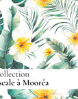 Coffret duo - Escale à Mooréa - Sucre de lissage et Gel douche - Origine Cosmétiques Belgique Luxembourg
