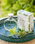 Huile satinante de beauté au Thé vert - Origine Cosmétiques BeLux